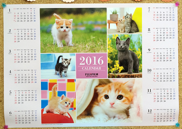 2016年フジカラーペットカレンダー猫